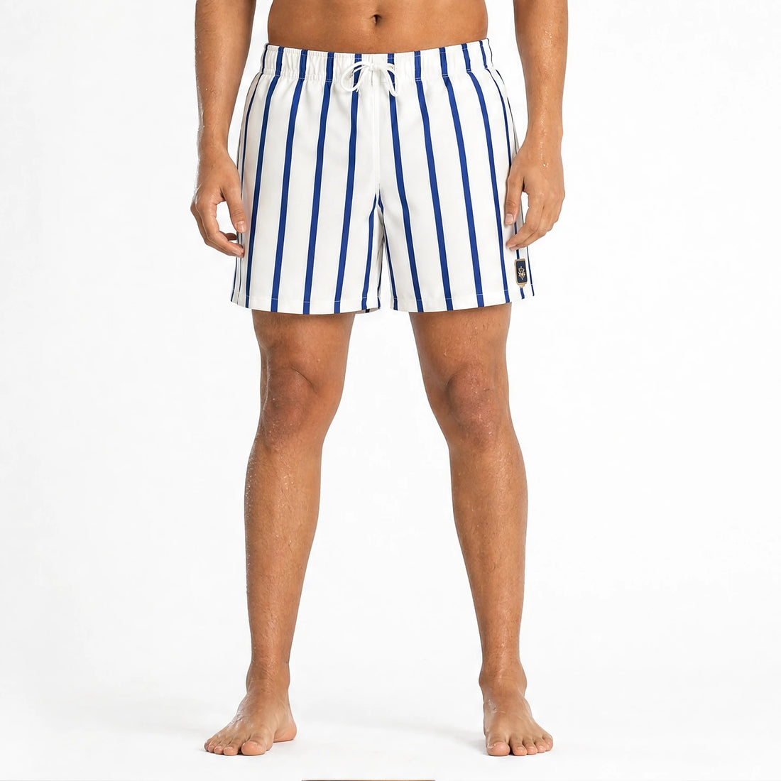 Striped Swim Shorts