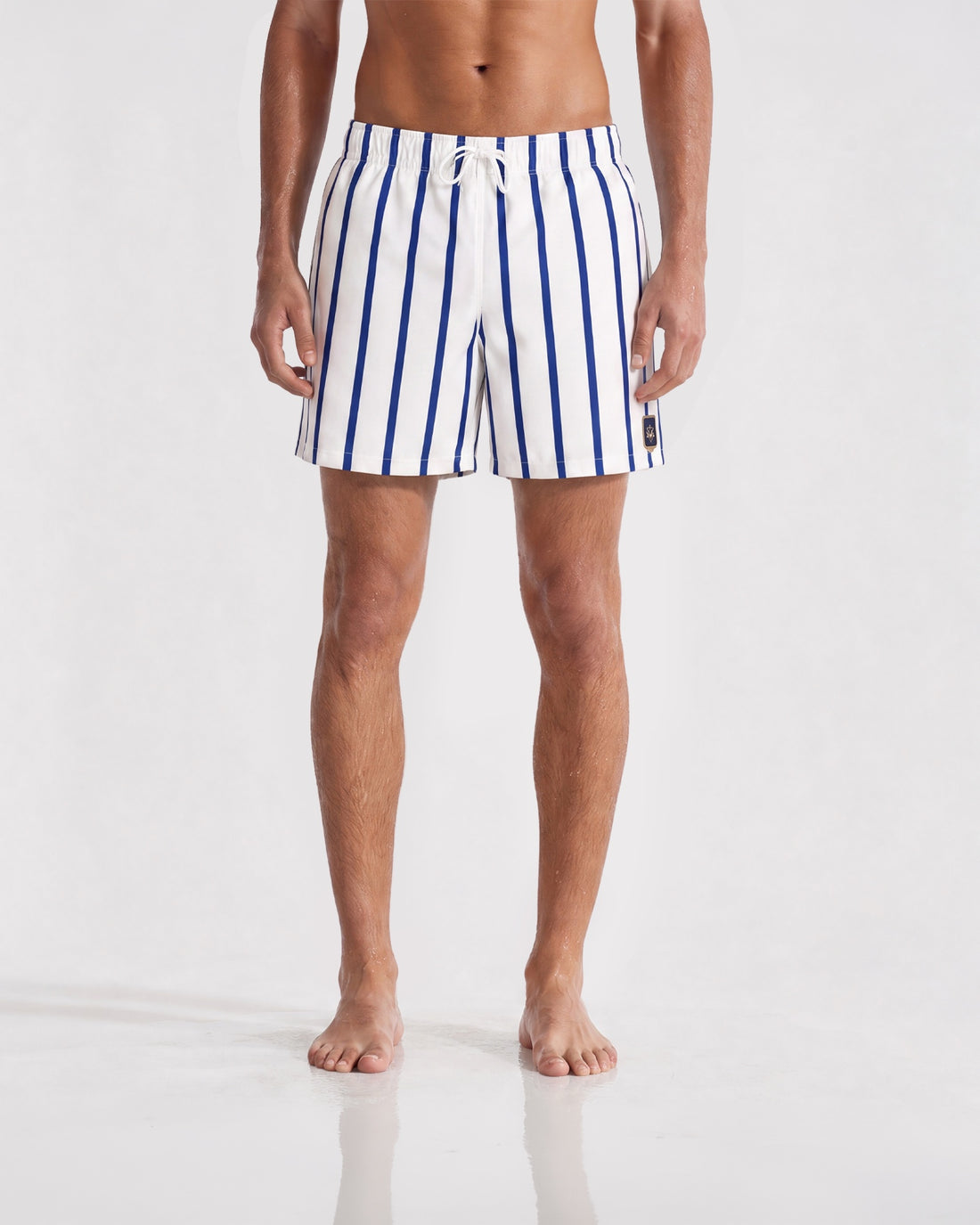 Striped Swim Shorts
