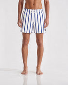 Blue Stripe