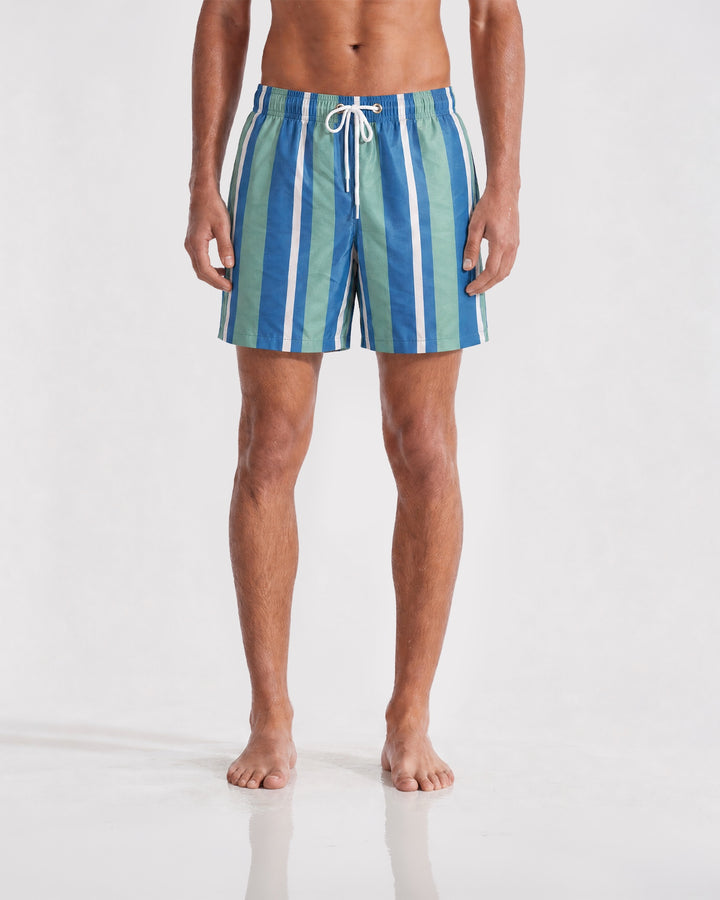 Riviera Stripe Swim Shorts